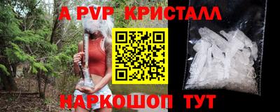 гидра Кандалакша