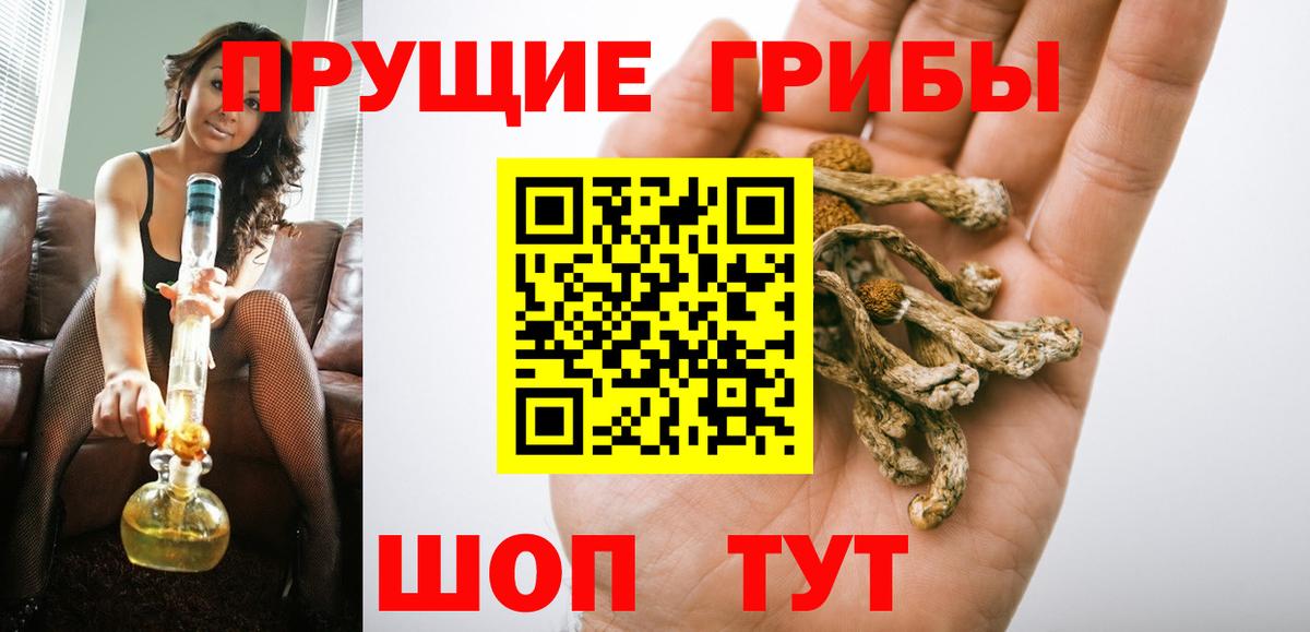 Псилоцибиновые грибы MAGIC MUSHROOMS Майкоп